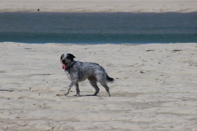 Hannes in der Bretagne