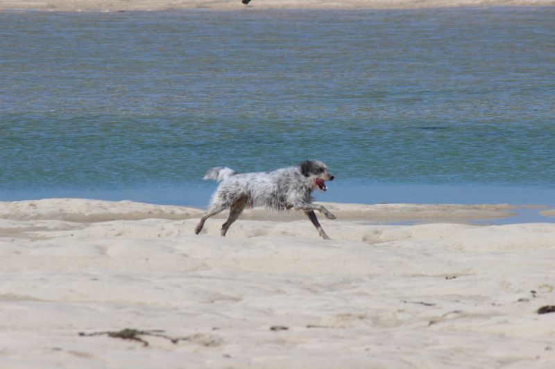Hannes in der Bretagne