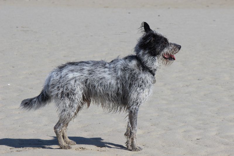 Hannes in der Bretagne