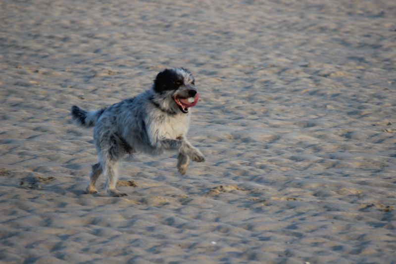 Hannes in der Bretagne