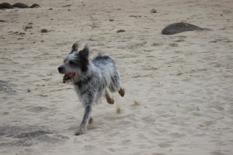 Hannes in der Bretagne