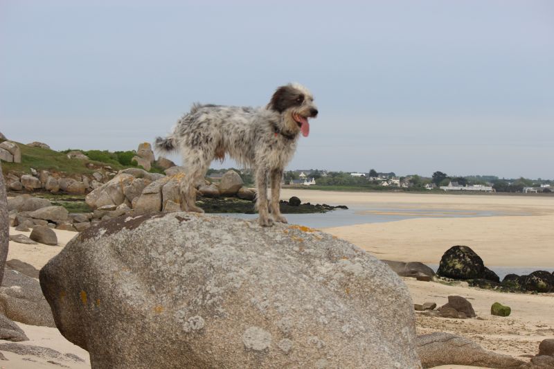 Hannes in der Bretagne