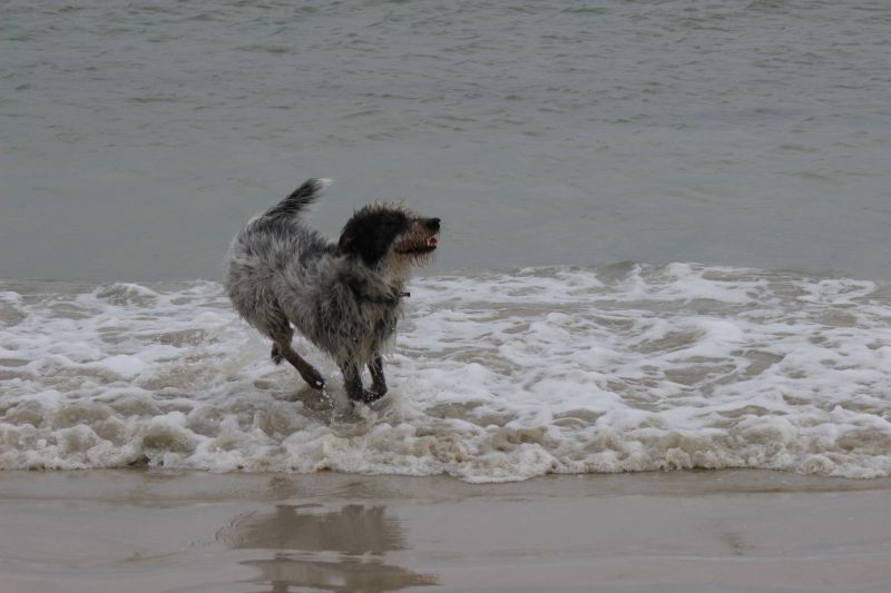 Hannes in der Bretagne