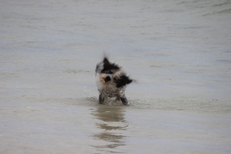 Hannes in der Bretagne