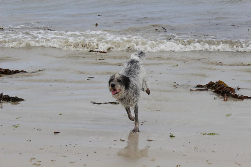 Hannes in der Bretagne