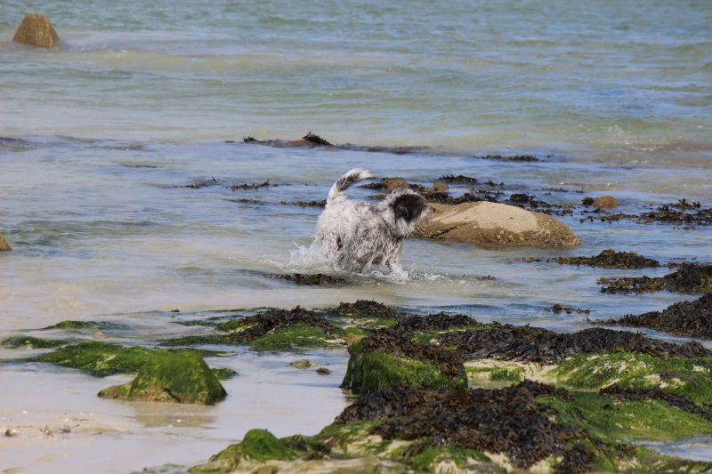 Hannes in der Bretagne