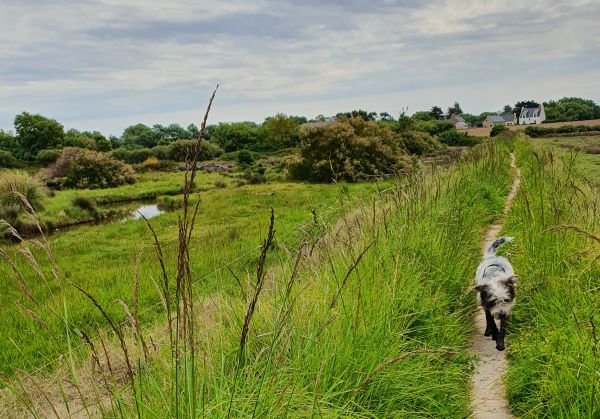 Hannes in der Bretagne