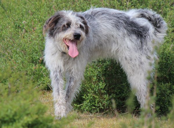 Hannes in der Bretagne - nanana...
