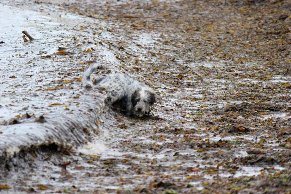 Hannes in der Bretagne