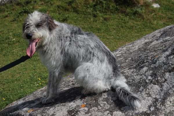 Hannes in der Bretagne
