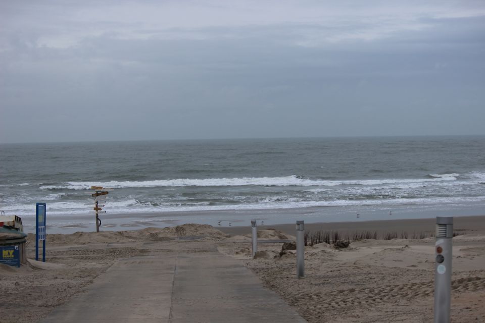 Texel im Winter 2019