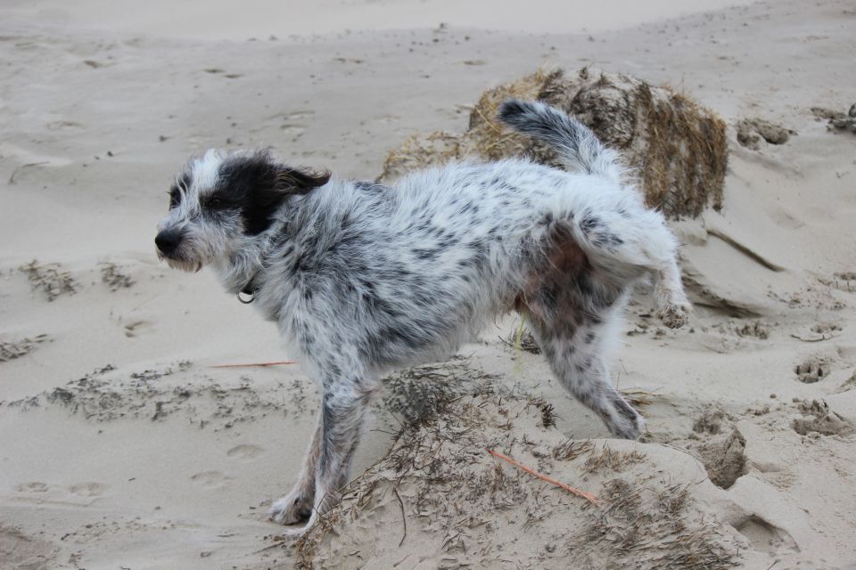 Texel im Winter 2019