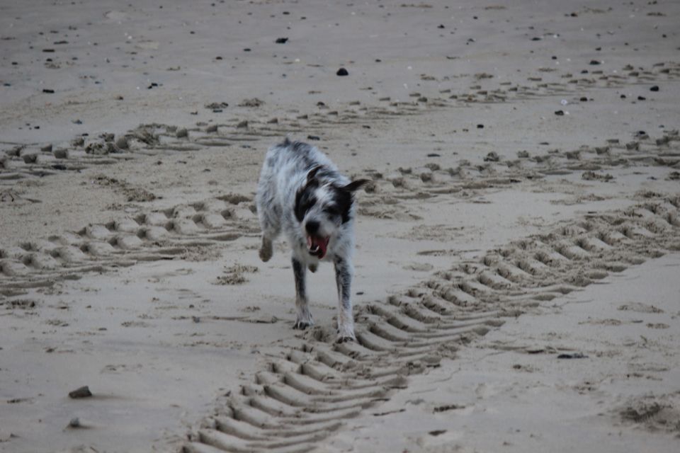 Texel im Winter 2019