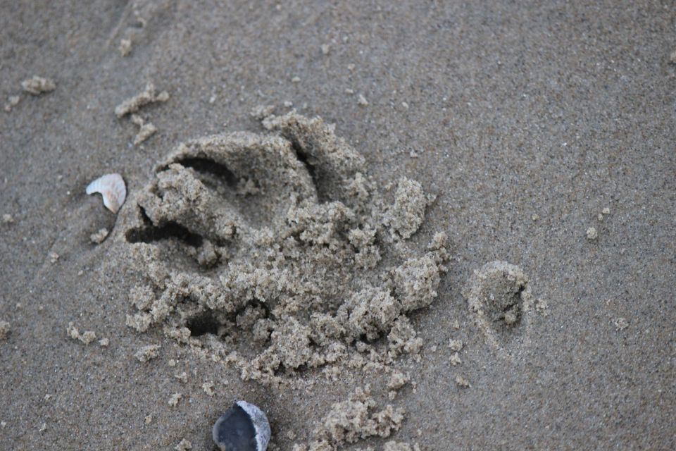 Texel im Winter 2019