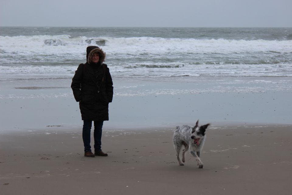 Texel im Winter 2019