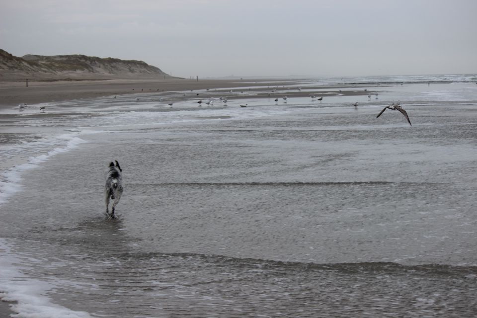 Texel im Winter 2019