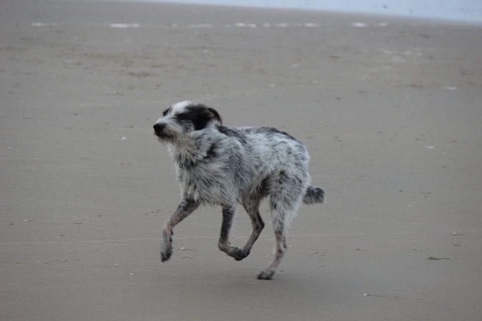 Texel im Winter 2019