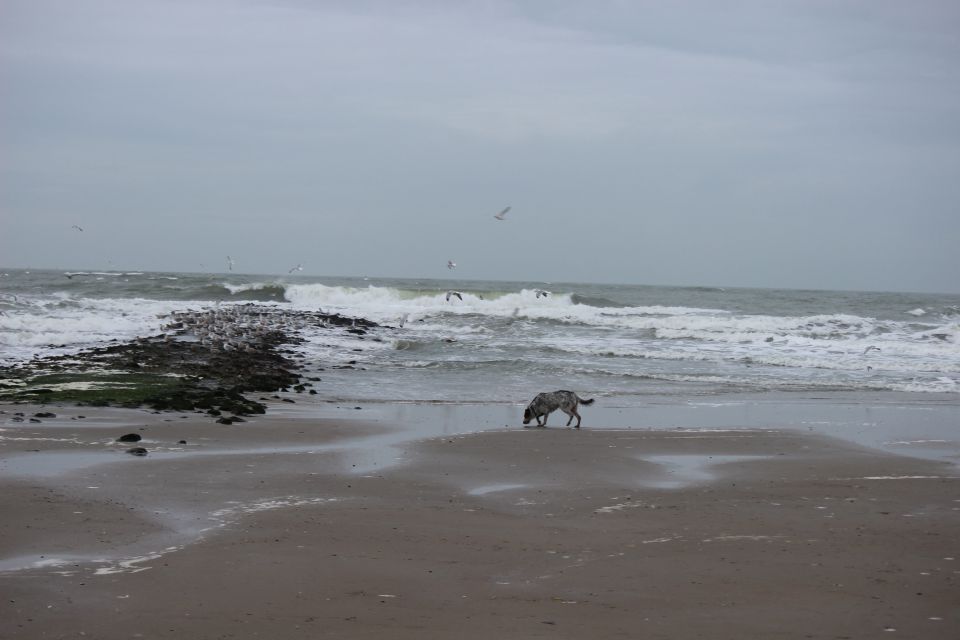 Texel im Winter 2019