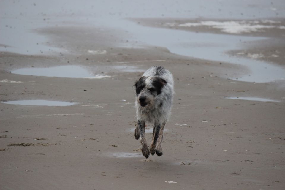 Texel im Winter 2019