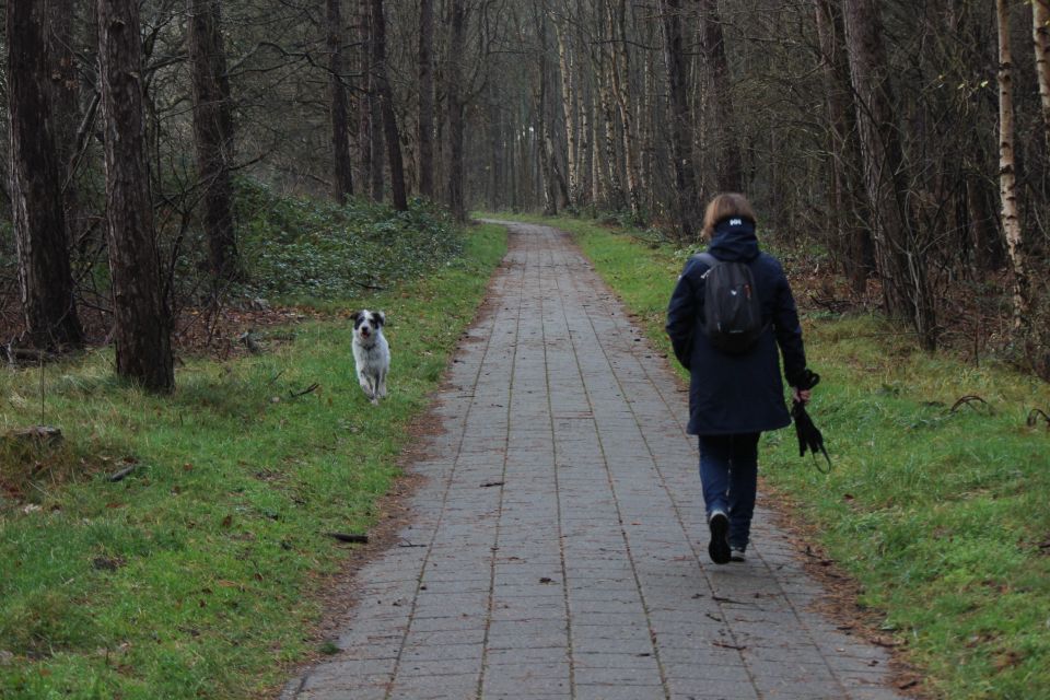 Texel im Winter 2019