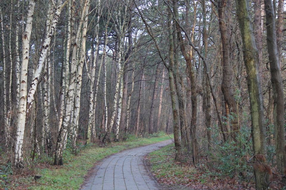 Texel im Winter 2019