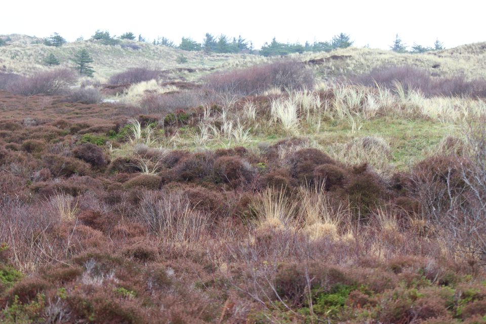 Texel im Winter 2019