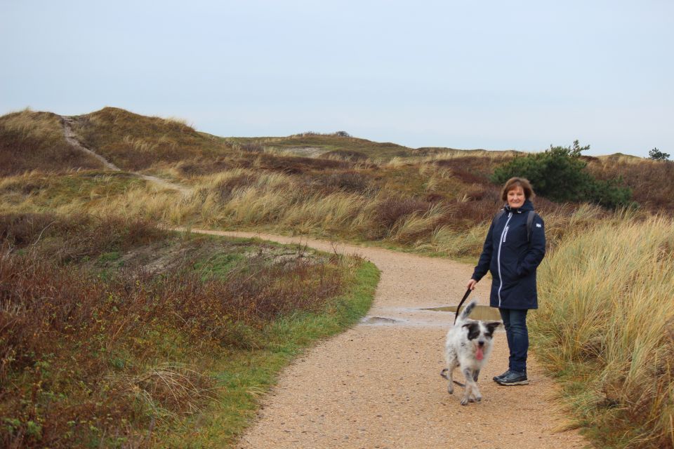 Texel im Winter 2019