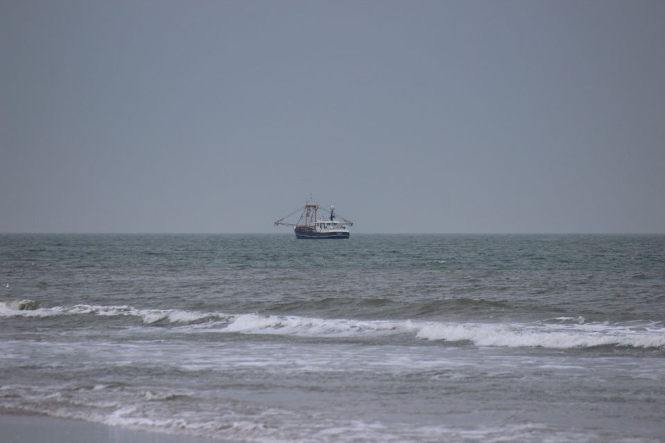 Texel im Winter 2019