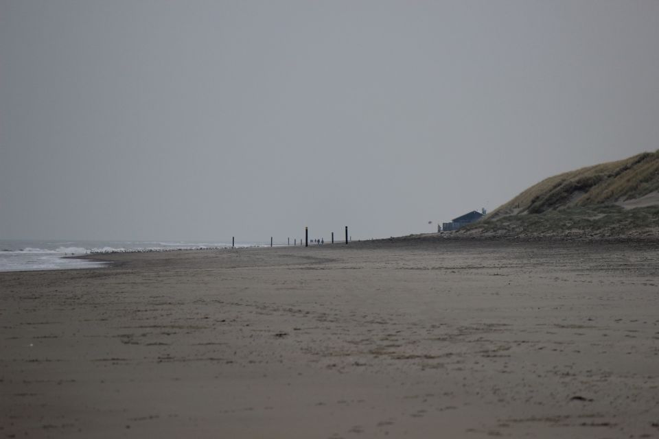 Texel im Winter 2019