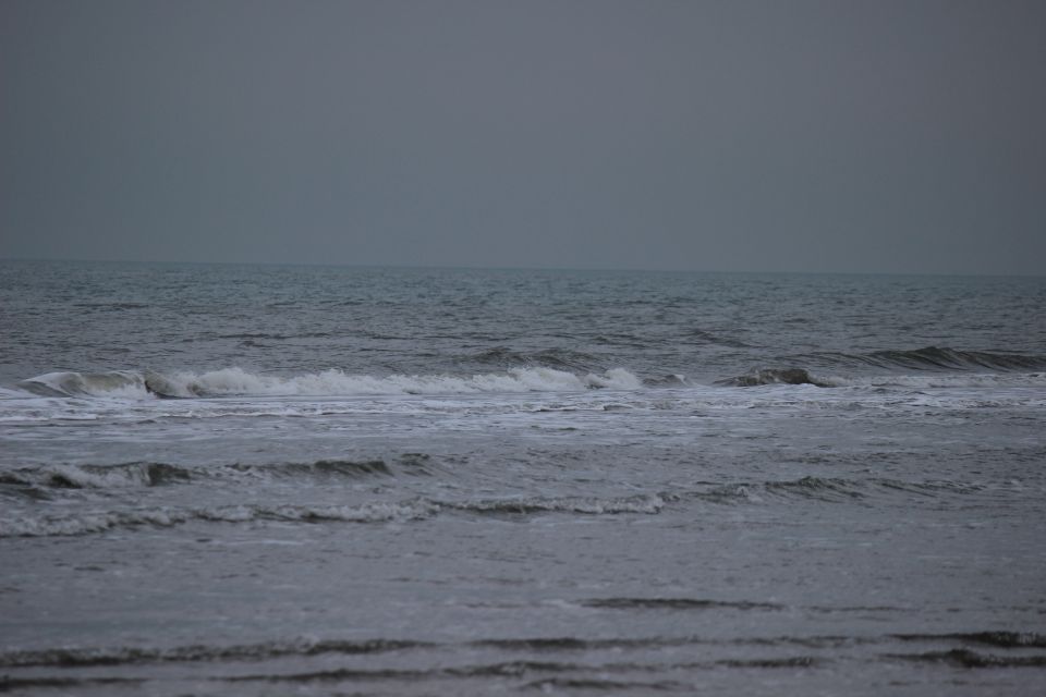 Texel im Winter 2019