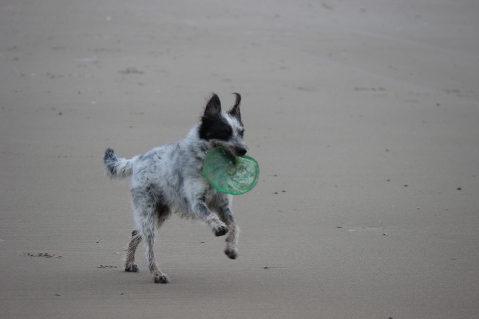 Texel im Winter 2019