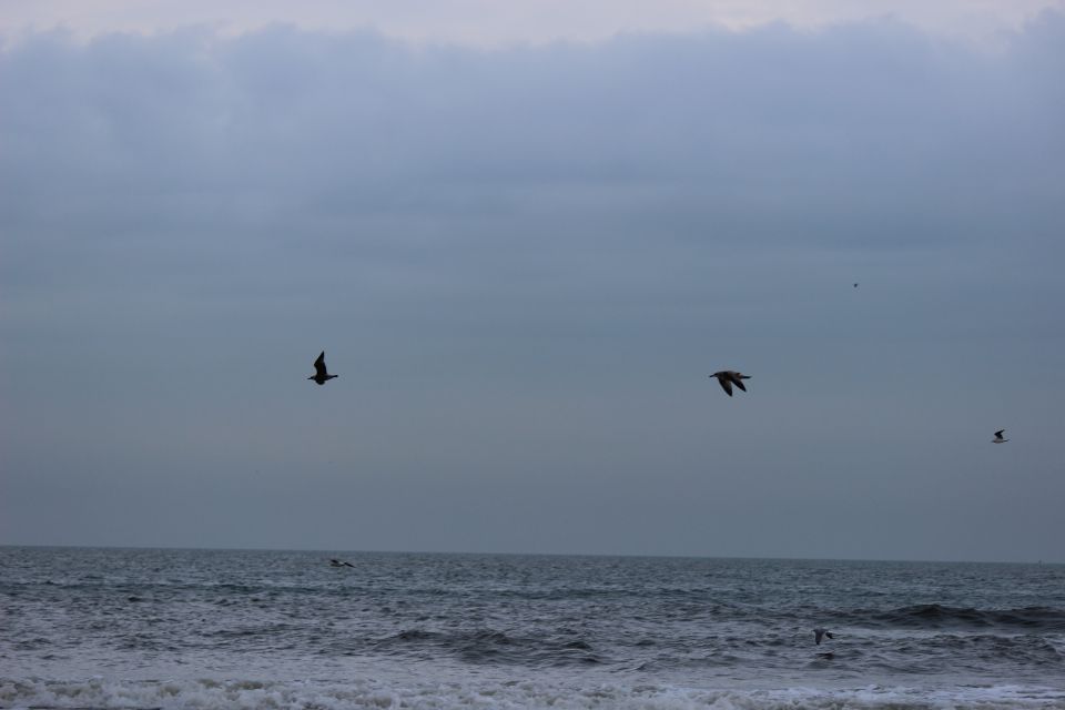 Texel im Winter 2019