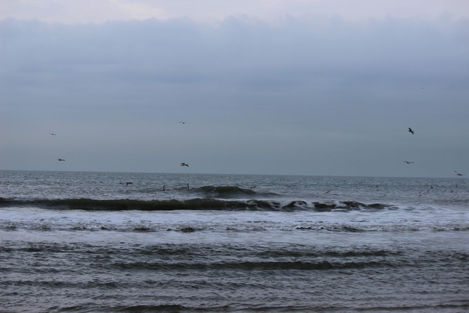 Texel im Winter 2019