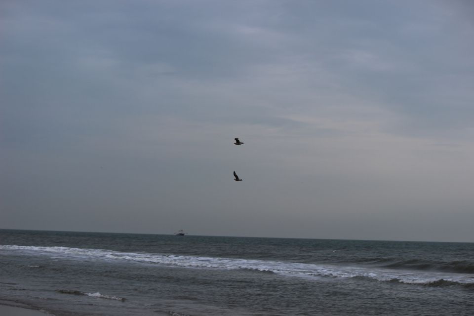 Texel im Winter 2019