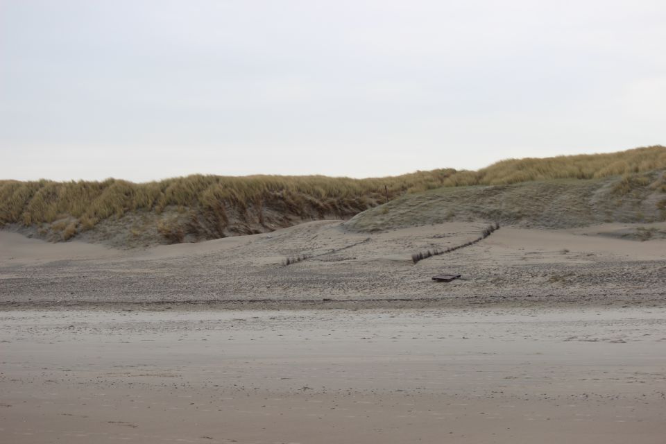 Texel im Winter 2019