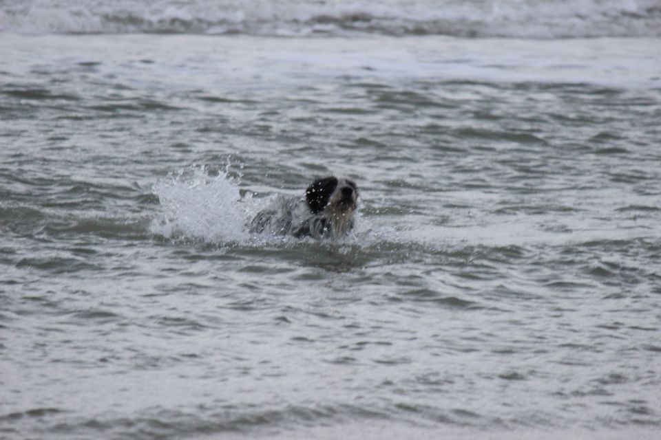 Texel im Winter 2019