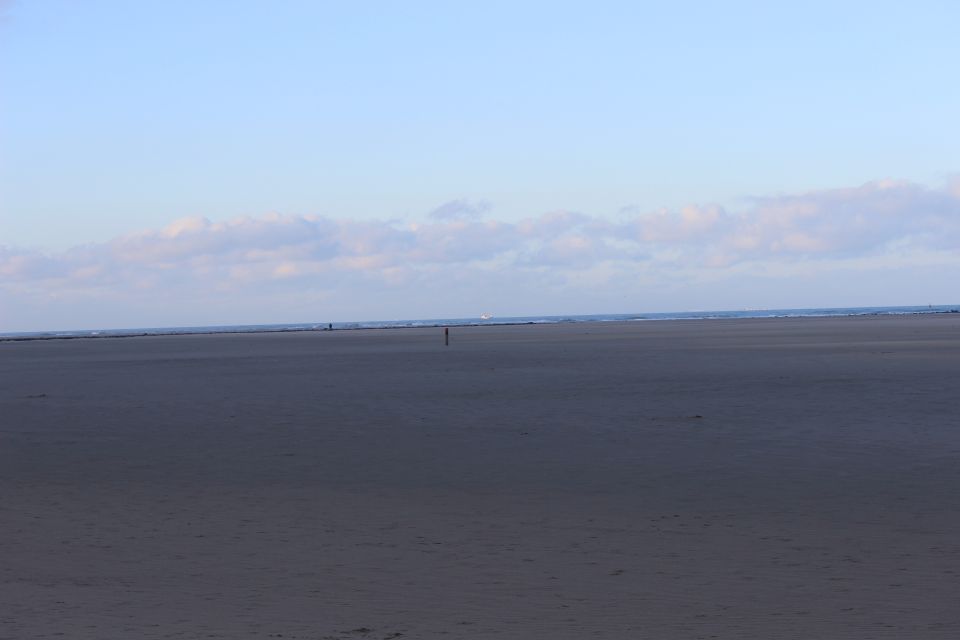 Texel im Winter 2019