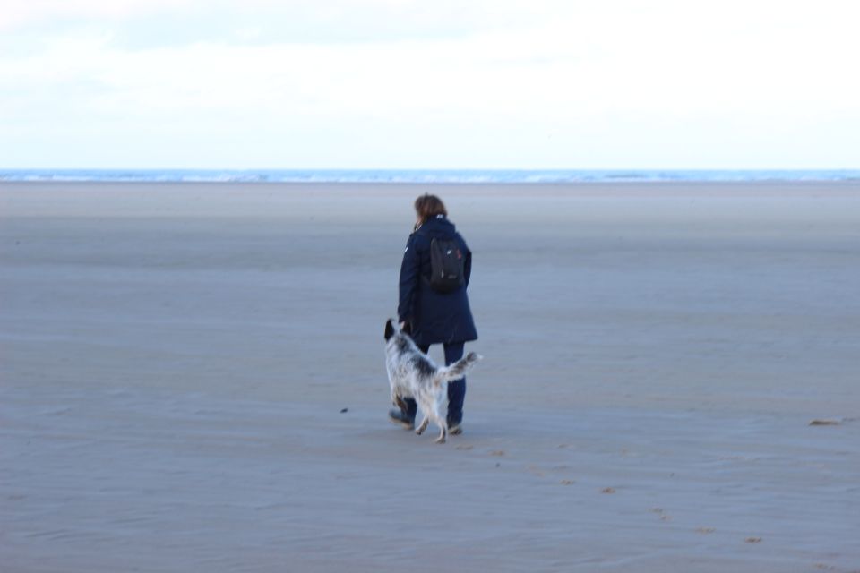 Texel im Winter 2019
