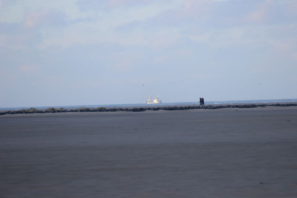 Texel im Winter 2019