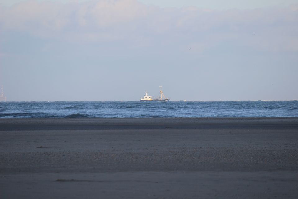 Texel im Winter 2019