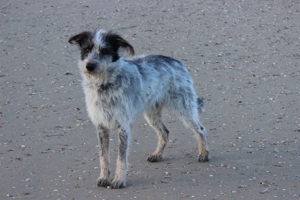Texel im Winter 2019