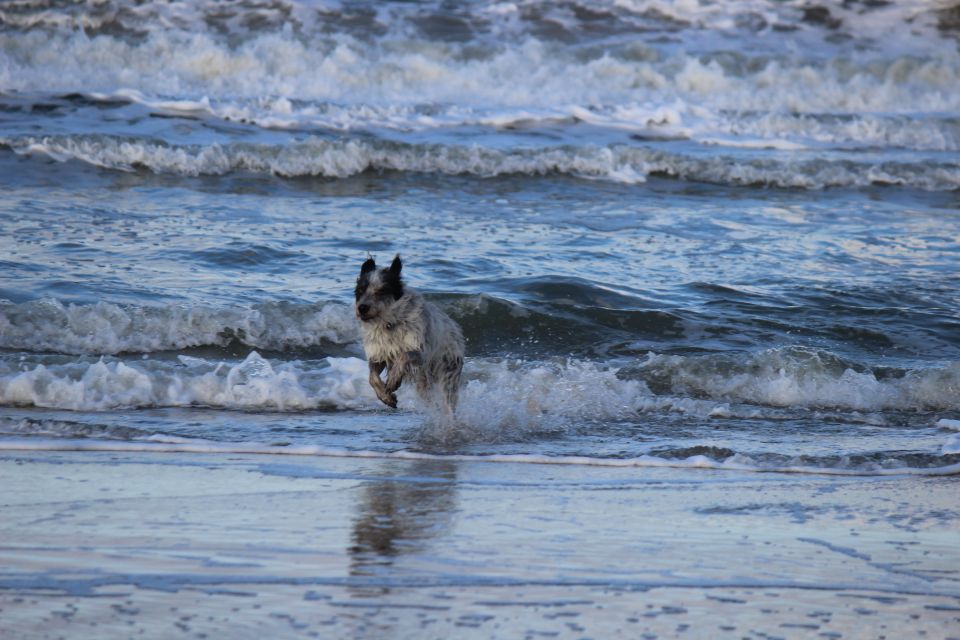Texel im Winter 2019
