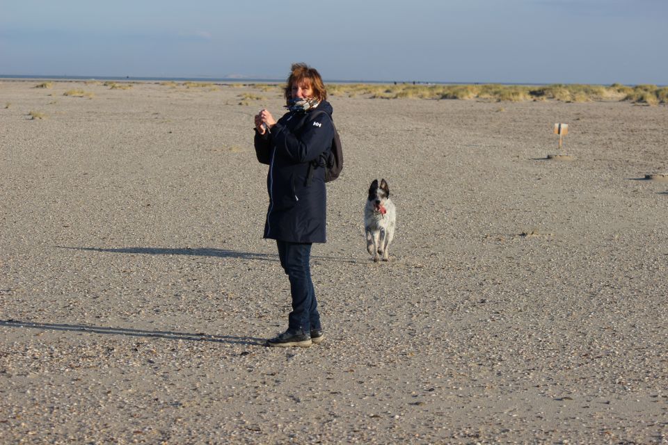 Texel im Winter 2019