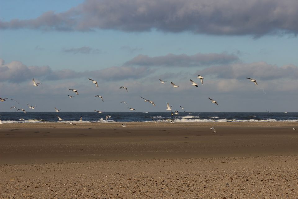Texel im Winter 2019