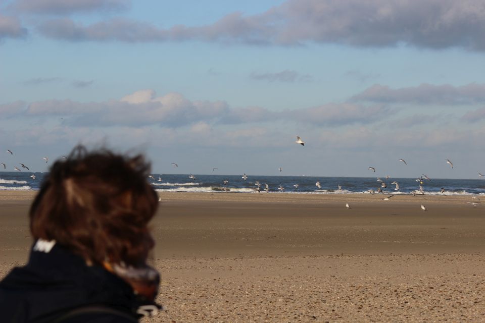 Texel im Winter 2019