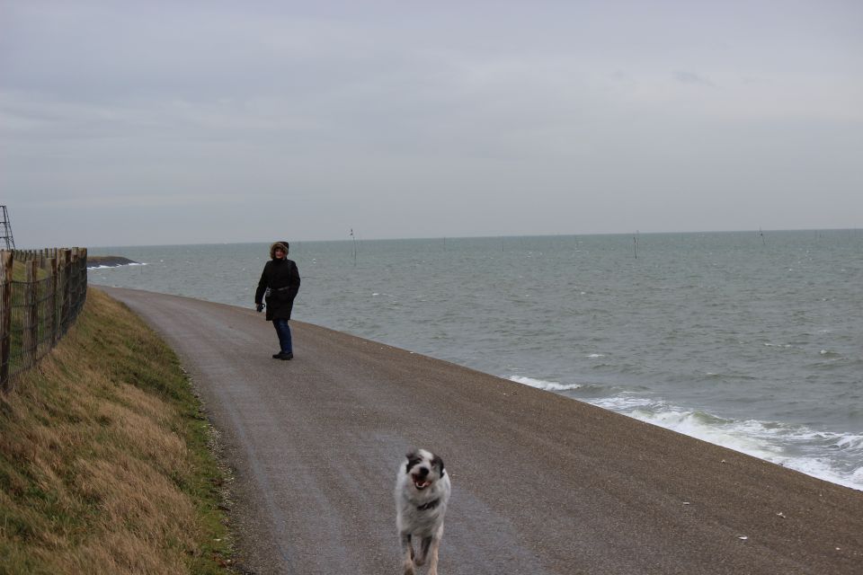 Texel im Winter 2019
