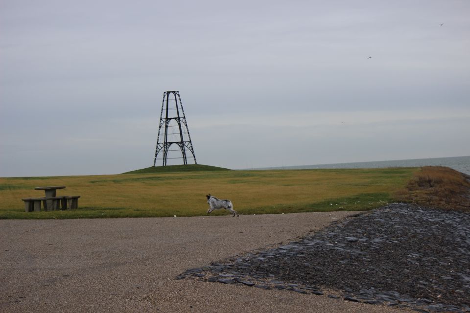 Texel im Winter 2019