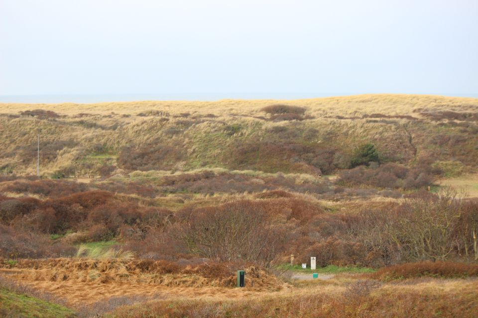 Texel im Winter 2019