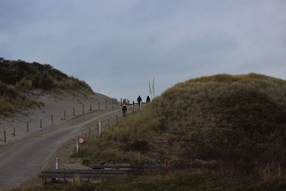 Texel im Winter 2019