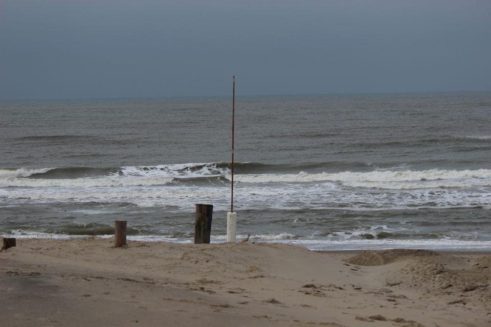 Texel im Winter 2019